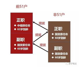 你不知道的央企级别 揭开体制内的神秘面具与企业资产管理